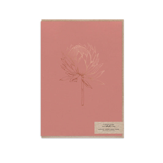 "King Protea Terracota" Blank Card┃Typoflora
